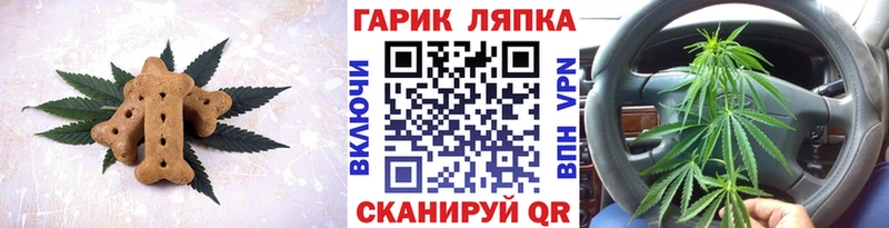 сайты даркнета наркотические препараты  Обнинск  Cannafood конопля 