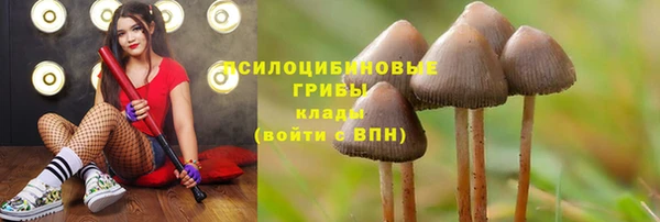 кристаллы Вязники