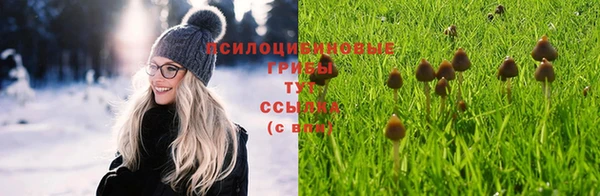 соль курить ск Вяземский